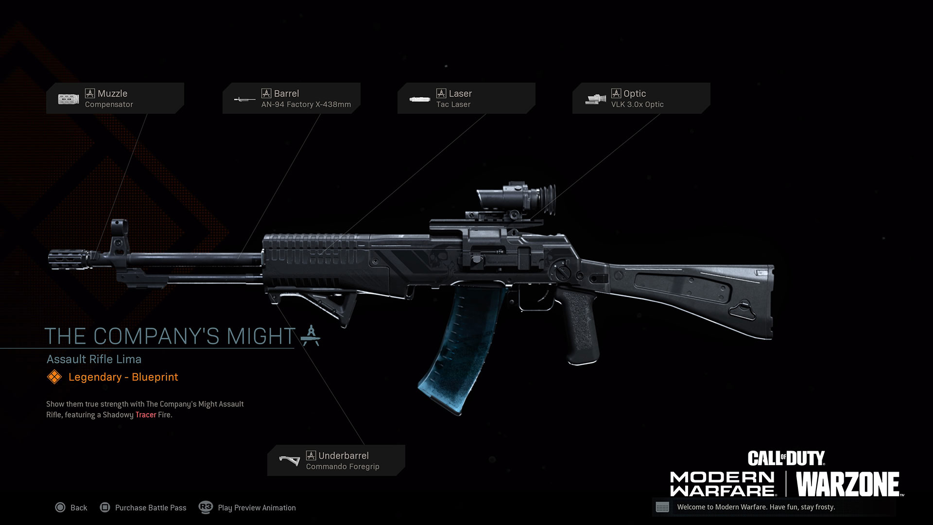 What is the difference between a modern military combat rifle and